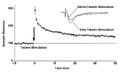 Thumbnail for version as of 06:17, 11 April 2026