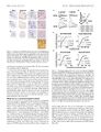 Thumbnail for version as of 06:17, 11 April 2026