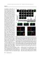 Thumbnail for version as of 06:17, 11 April 2026