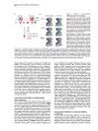 Thumbnail for version as of 06:17, 11 April 2026