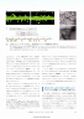 Thumbnail for version as of 06:18, 11 April 2026
