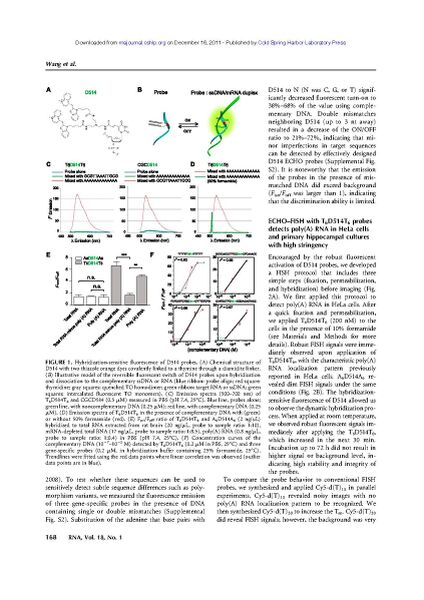 File:Page3-846px-Wang rna.pdf.jpg