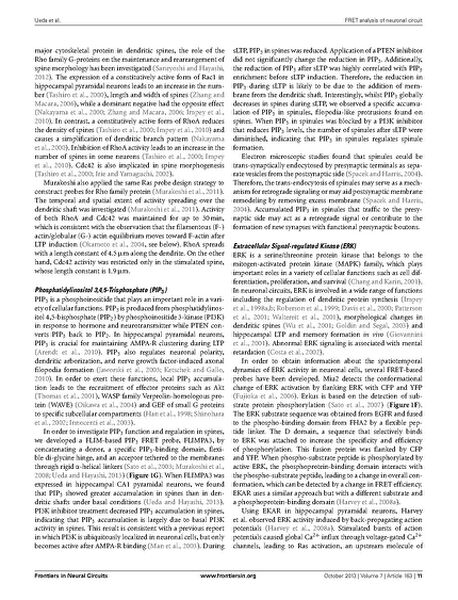 File:Page11-687px-Ueda Front Neural Circuits.pdf.jpg