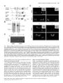 Thumbnail for version as of 06:18, 11 April 2026