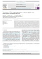 Thumbnail for version as of 06:17, 11 April 2026