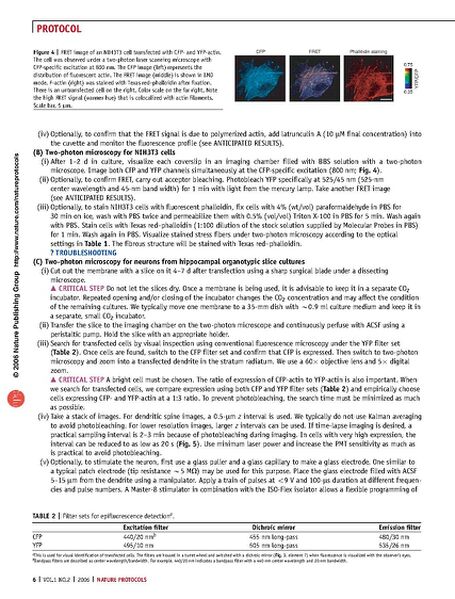 File:Page6-682px-Okamoto Nat Protoc.pdf.jpg