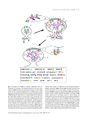 Thumbnail for version as of 06:17, 11 April 2026