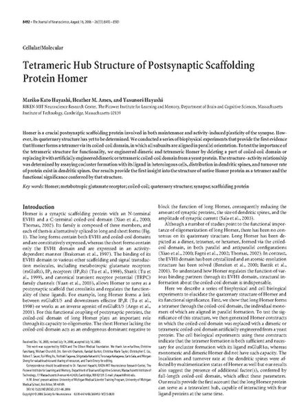 File:Page1-672px-Hayashi J Neurosci 2006.pdf.jpg