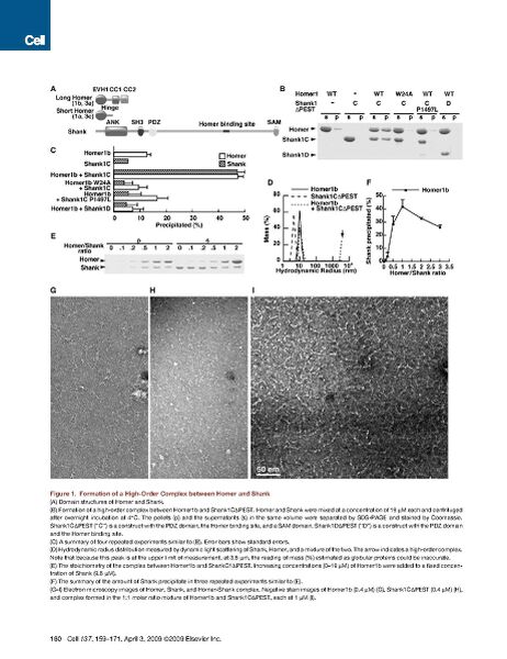 File:Page2-922px-Hayashi cell.pdf.jpg