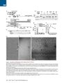 Thumbnail for version as of 06:17, 11 April 2026