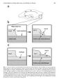 Thumbnail for version as of 06:17, 11 April 2026