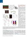 Thumbnail for version as of 06:17, 11 April 2026
