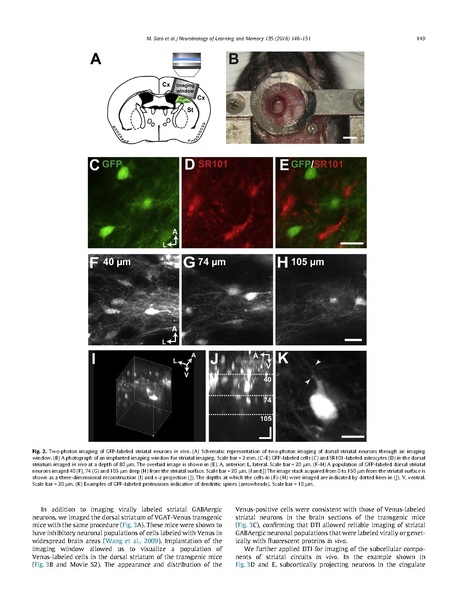 File:20250323102439!Sato Neurobiol Learn Mem.pdf