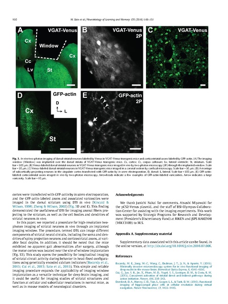 File:20250323102439!Sato Neurobiol Learn Mem.pdf