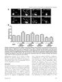Thumbnail for version as of 06:17, 11 April 2026