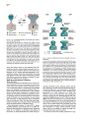 Thumbnail for version as of 06:17, 11 April 2026