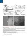 Thumbnail for version as of 06:17, 11 April 2026