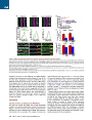 Thumbnail for version as of 06:17, 11 April 2026