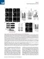 Thumbnail for version as of 06:18, 11 April 2026