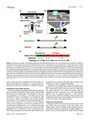 Thumbnail for version as of 06:17, 11 April 2026
