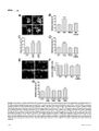 Thumbnail for version as of 06:17, 11 April 2026