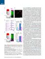Thumbnail for version as of 06:18, 11 April 2026
