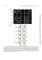 Thumbnail for version as of 06:17, 11 April 2026