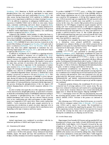 File:20250323102857!Kim Neurobiol Learn Mem.pdf