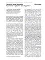 Thumbnail for version as of 06:17, 11 April 2026
