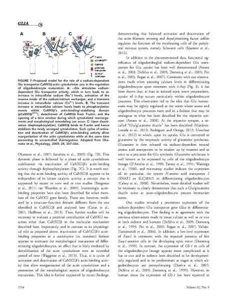 File:Page12-908px-Martinez-Lozada Glia.pdf.jpg