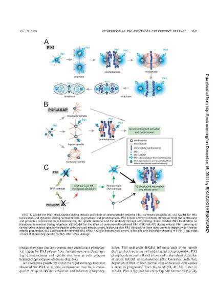 File:Page14-846px-Kishi mol cell biol.pdf.jpg