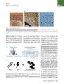 Thumbnail for version as of 06:17, 11 April 2026