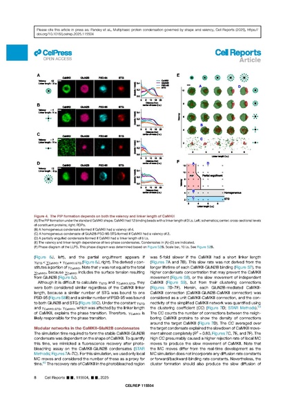 File:2pmv3ni98zxp1o66lybiqw9gfneo90d.pdf