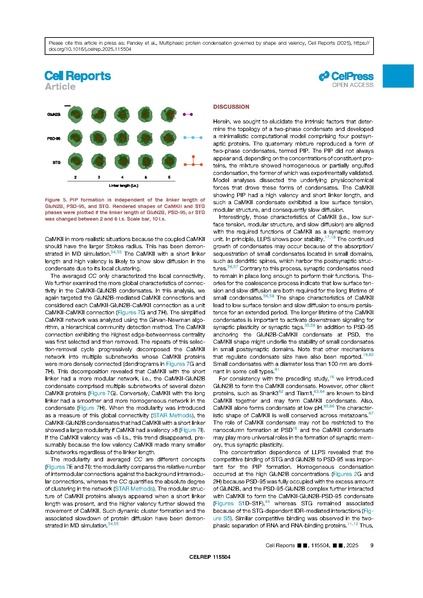 File:2pmv3ni98zxp1o66lybiqw9gfneo90d.pdf