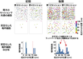 Thumbnail for version as of 06:17, 11 April 2026