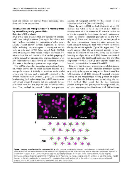 File:Page3-675px-Sakaguchi Mol Brain.pdf.jpg