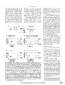 Thumbnail for version as of 06:17, 11 April 2026