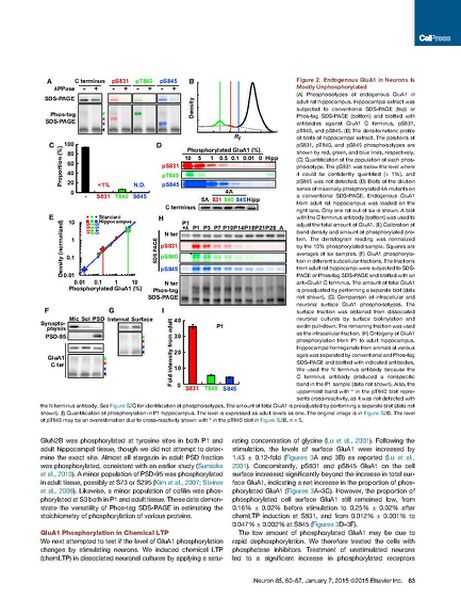 File:Page5-692px-Hosokawa Neuron.pdf.jpg