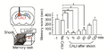 Thumbnail for version as of 06:17, 11 April 2026