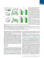 Thumbnail for version as of 06:18, 11 April 2026