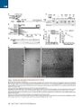 Thumbnail for version as of 06:17, 11 April 2026