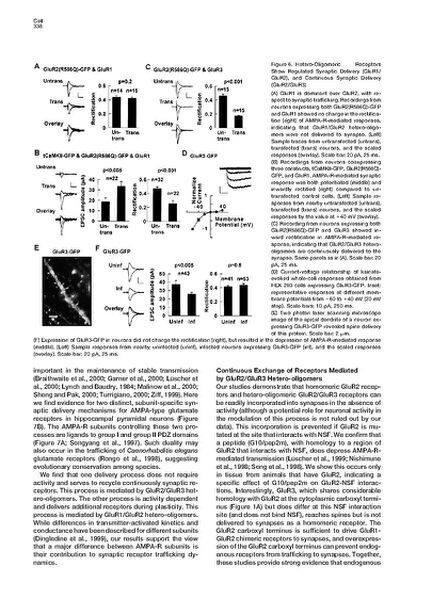 File:Page8-672px-Shi Cell.pdf.jpg