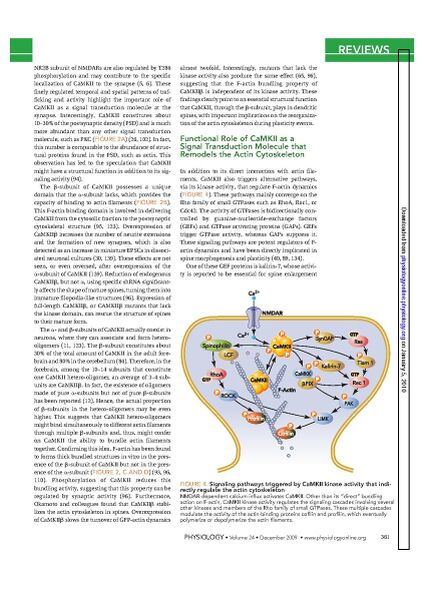 File:Page5-846px-Okamoto Physiol.pdf.jpg