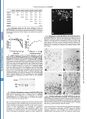 Thumbnail for version as of 06:17, 11 April 2026