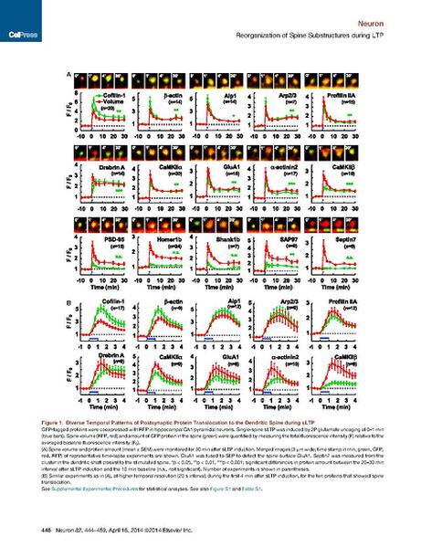 File:Page3-692px-Bosch Neuron.pdf.jpg