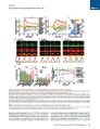 Thumbnail for version as of 06:18, 11 April 2026