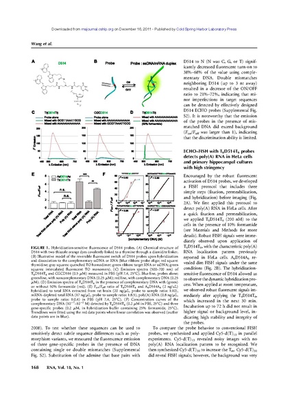 File:20250323102752!Wang rna.pdf