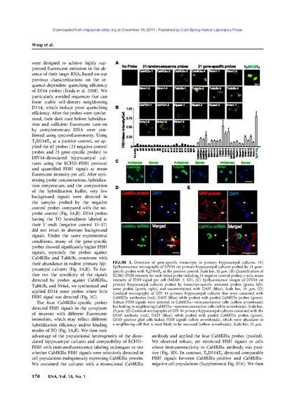 File:20250323102752!Wang rna.pdf