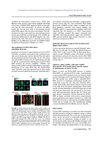 File:20250323102752!Wang rna.pdf