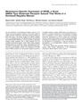 Thumbnail for version as of 06:17, 11 April 2026